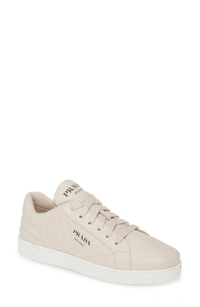Shop Prada Quilted Low Top Sneaker In Grey
