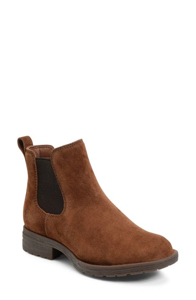 Shop Born Cove Waterproof Chelsea Boot In Brown Suede