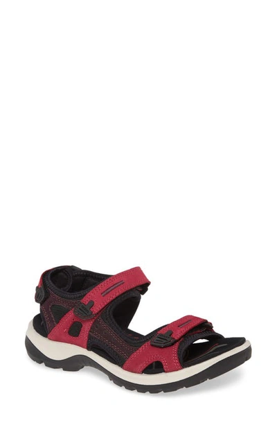 Shop Ecco Yucatan Sandal In Sangria/ Fig Nubuck