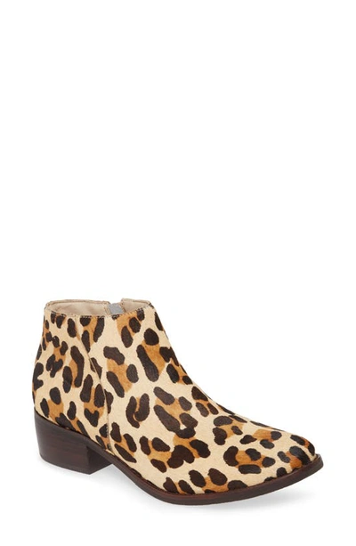 Shop Matisse Billie Bootie In Leopard Print Calf Hair