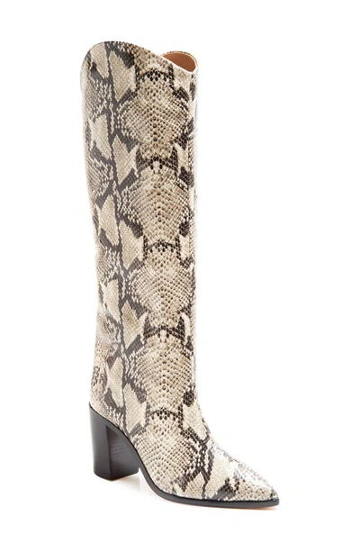 Shop Schutz Maryana Pointed Toe Block Heel Knee High Boot In Natural Snake Print