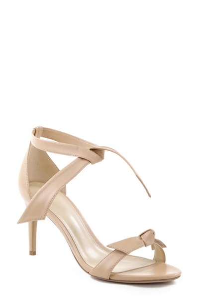 Shop Alexandre Birman Clarita Ankle Tie Sandal In Nude