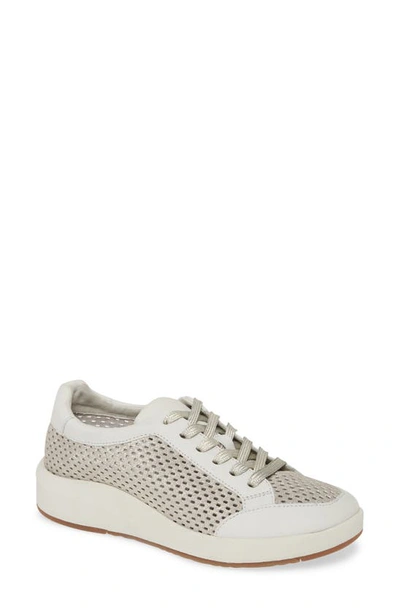 Shop Otbt Joyce Perforated Sneaker In Grey Silver Suede