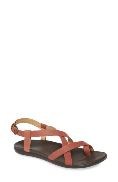 Shop Olukai 'upena' Flat Sandal In Cedar Wood Leather