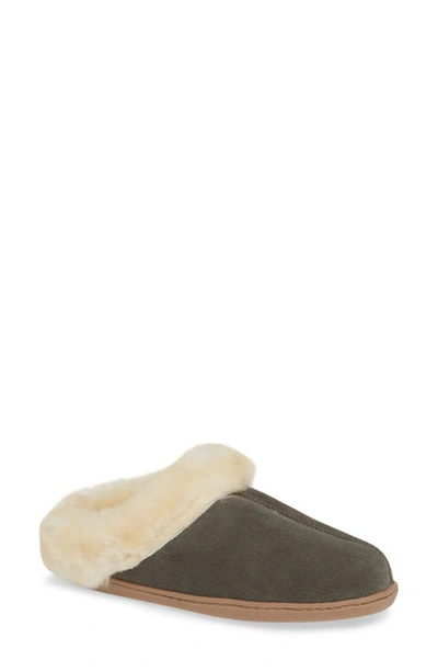 Shop Minnetonka Sheepskin Mule Slipper In Grey Suede