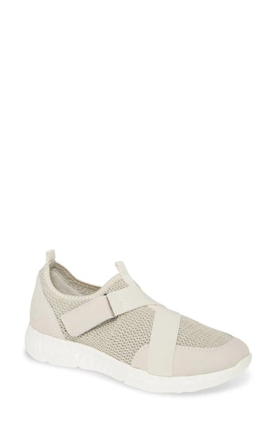 Shop Otbt Vicky Sneaker In Dove Grey Suede