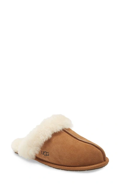 Shop Ugg Scuffette Ii Slipper In Chestnut Suede