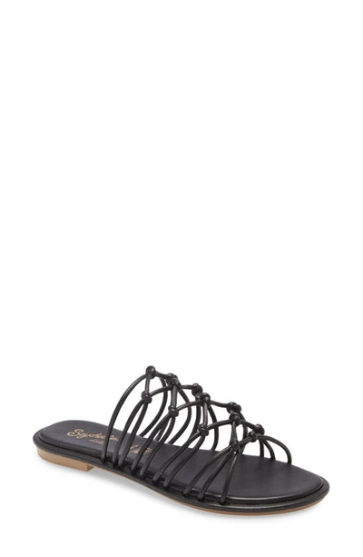 Shop Seychelles Authentic Slide Sandal In Black