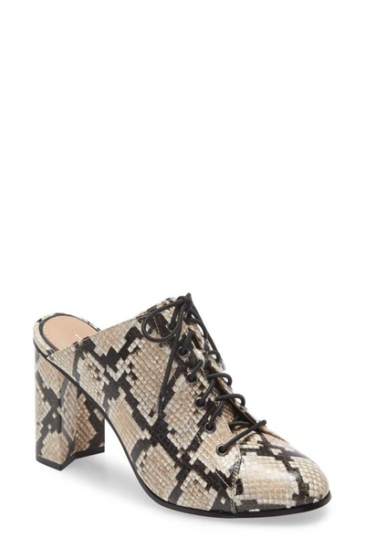 Shop Linea Paolo Sylvie Lace-up Mule In Ivory Snake Print Leather