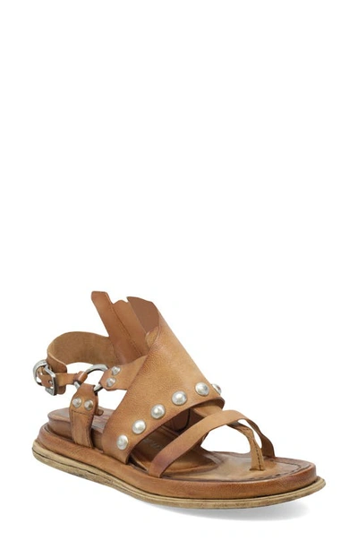 Shop As98 Pacey Sandal In Camel