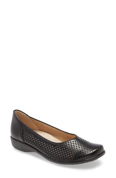 Shop Ara Avril Perforated Flat In Black Leather