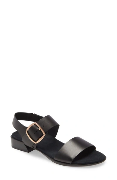 Shop Munro Cleo Sandal In Black Leather