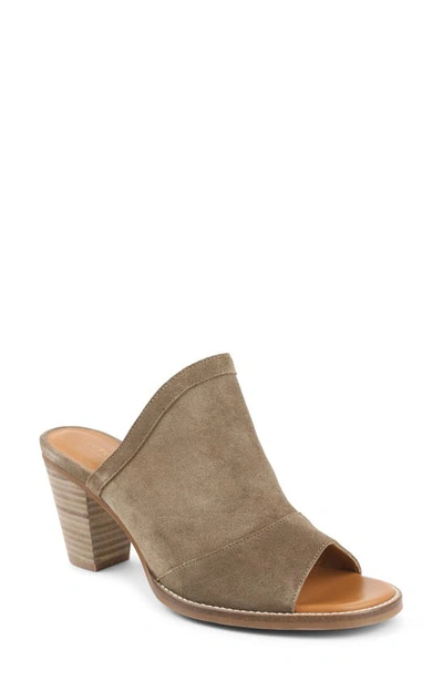 Shop Andre Assous Suri Slide Sandal In Taupe Suede