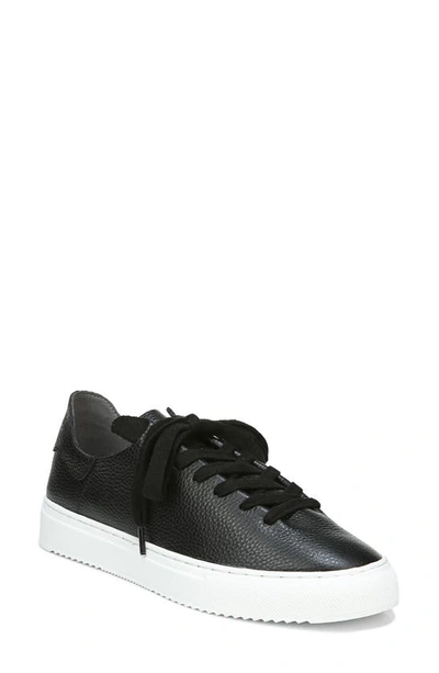 Shop Sam Edelman Poppy Sneaker In Black