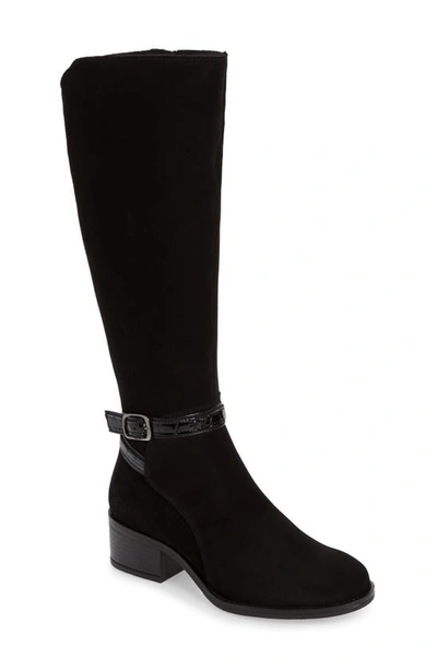 Shop Bos. & Co. Jade Waterproof Knee High Boot In Black Suede
