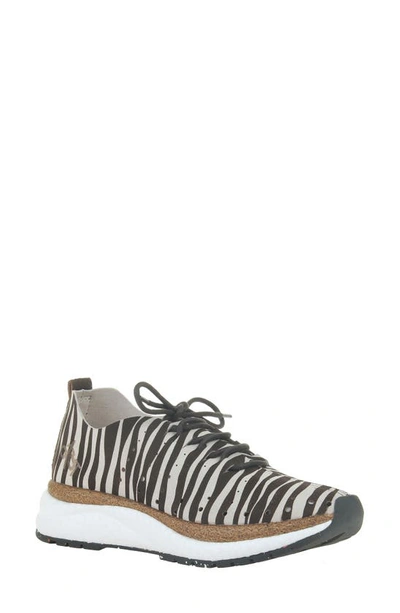 Shop Otbt Alstead Perforated Sneaker In Zebra Print Suede