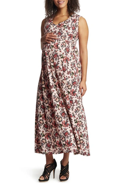 Shop Everly Grey Valeria Maternity/nursing Maxi Dress In Amaryllis