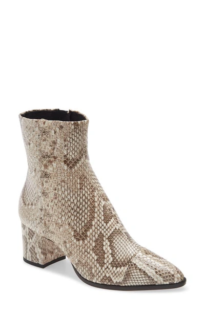 Shop Alexandre Birman Rachel Genuine Python Pointed Toe Bootie In Natural