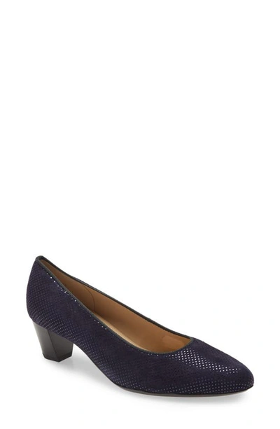 Shop Ara Kelly Pump In Navy Punti Suede