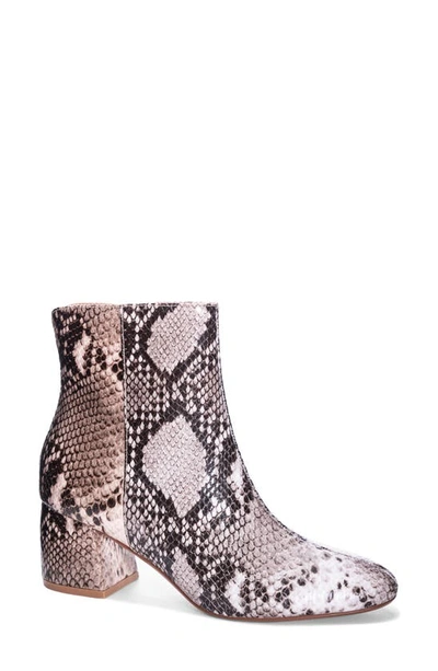 Shop Chinese Laundry Davinna Bootie In White Blush Snake