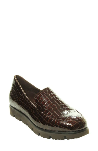 Shop Vaneli Jimmy Loafer In Brown Patent Leather