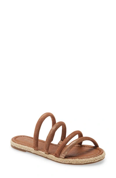 Shop Klub Nico Elena Slide Sandal In Brown Sparkle Leather