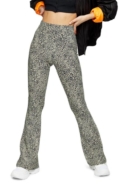 Topshop Flare Pants In Leopard Print-multi In Black Multi | ModeSens
