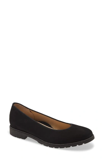 Shop Ara Billie Flat In Black Suede