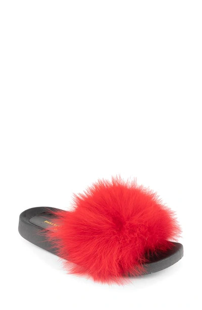 Shop Patricia Green Foxy Genuine Fox Fur Slipper In Red Fur