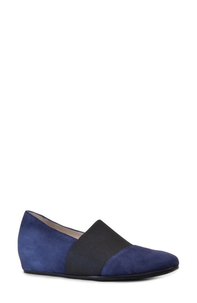 Shop Amalfi By Rangoni Valerie Wedge Pump In New Navy Suede