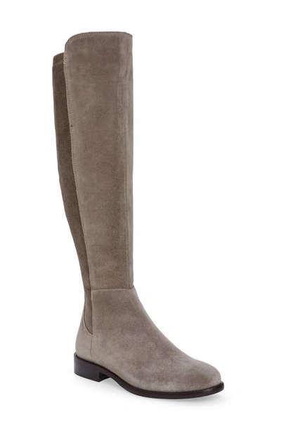 Shop Cordani Bethany Over The Knee Boot In Taupe Suede