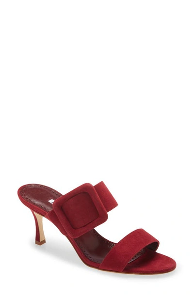 Shop Manolo Blahnik Gable Buckle Slide Sandal In Dark Red