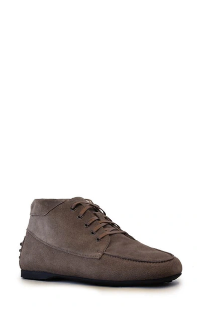 Shop Amalfi By Rangoni Dennis Lace-up Bootie In Bark Brown Suede