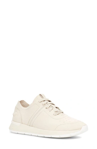 Shop Ugg Adaleen Sneaker In White Nubuck Leather