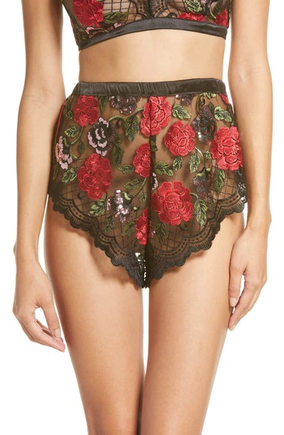 Shop Kilo Brava Embroidered Tap Shorts In Wild Roses