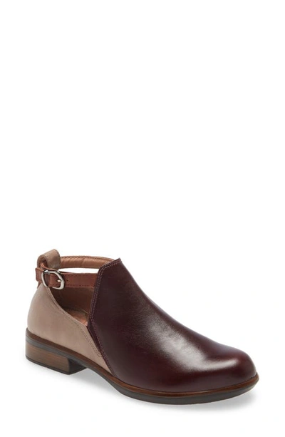Shop Naot Kamsin Colorblock Bootie In Bordeaux/ Soft Stone