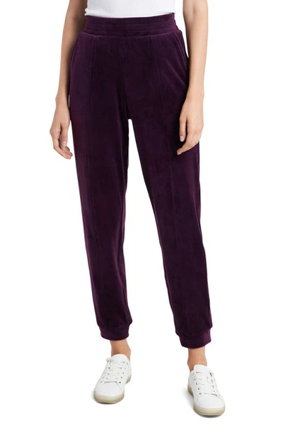 Shop 1.state Velour Pants In Deep Plum