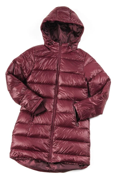 Shop Modern Eternity 3-in-1 Waterproof Quilted Down & Feather Fill Maternity Puffer Coat In Burgundy