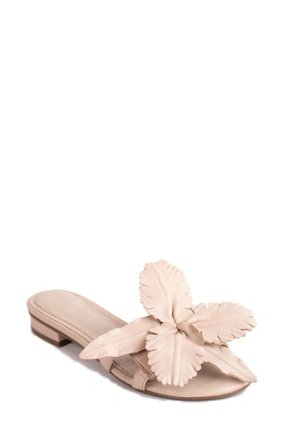 Shop Cecelia New York Lila Slide Sandal In Nude Leather