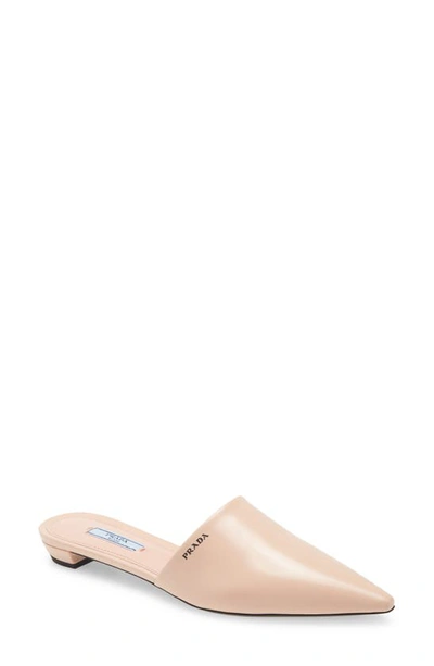 Shop Prada Logo Pointed Toe Mule In Orchid