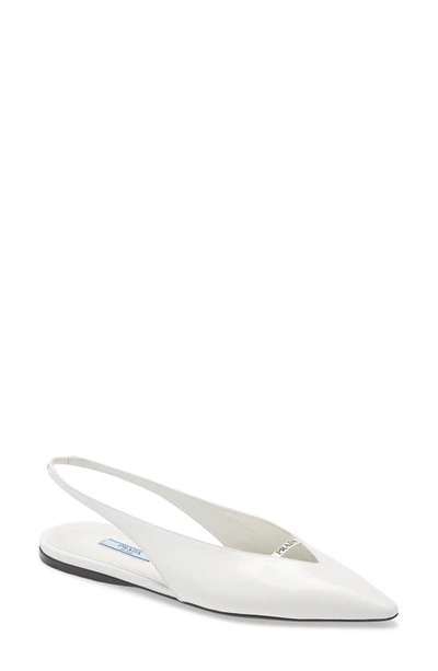 Shop Prada Slingback Pointy Toe Flat In White