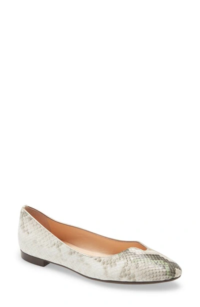 Shop Agl Attilio Giusti Leombruni Notch Ballet Flat In Tropy Penny