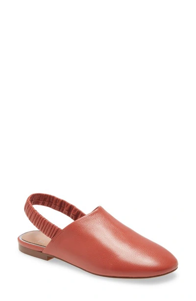 Shop Linea Paolo Doris Slingback Flat In Coral Leather
