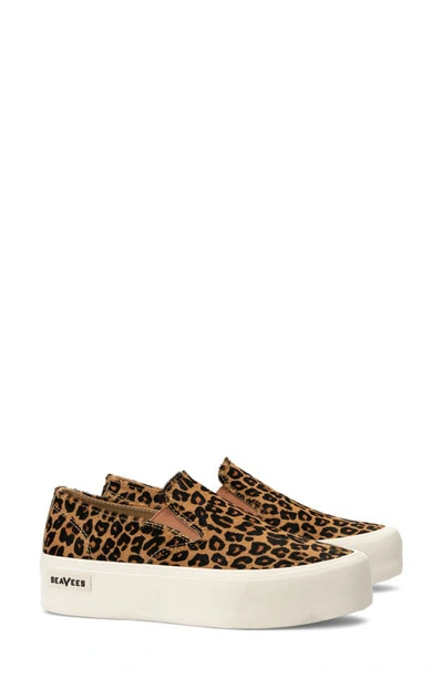 Shop Seavees Baja Genuine Calf Hair Platform Sneaker In Leopard Calf Hair