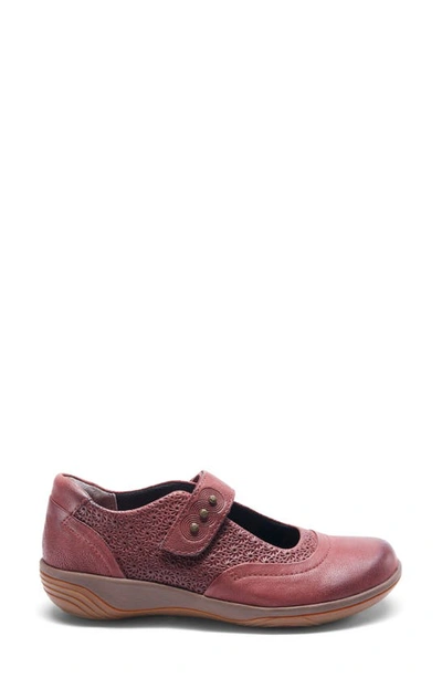 Shop Halsa Footwear Aloe Mary Jane In Dark Cherry Leather