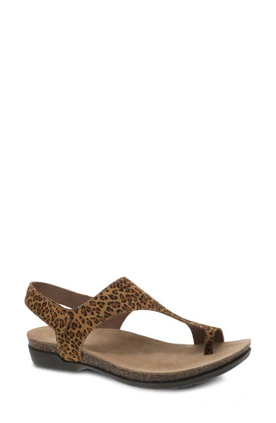 Shop Dansko Reece Sandal In Leopard