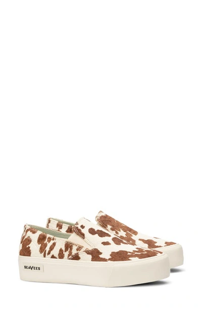 Shop Seavees Baja Genuine Calf Hair Platform Sneaker In Rancho Calf Hair