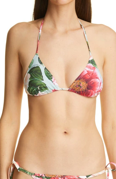 Shop Dolce & Gabbana Triangle Bikini Top In Aqua Camellia