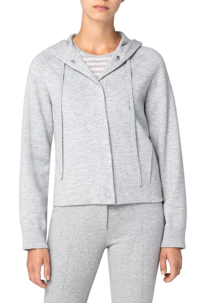 Shop Akris Punto Milano Knit Stretch Merino Wool Hoodie In Silver