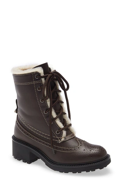 Shop Chloé Franne Genuine Shearling Lining Lace-up Boot In Bark Brown